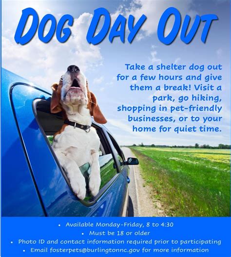 A dog's day out - Don’t forget to bring in a copy of your dog’s vaccinations. Your dog must be up-to-date on their annual Bordetella, Rabies, and Distemper. Fill Online. Fill Online. (703) 858-3647. infoashburn@adogsdayout.com. 44642 Guilford Drive, Suite 101, Ashburn, Virginia 20147. 